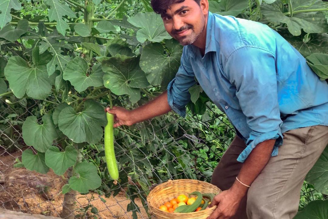 Photo of Others in Pushkar