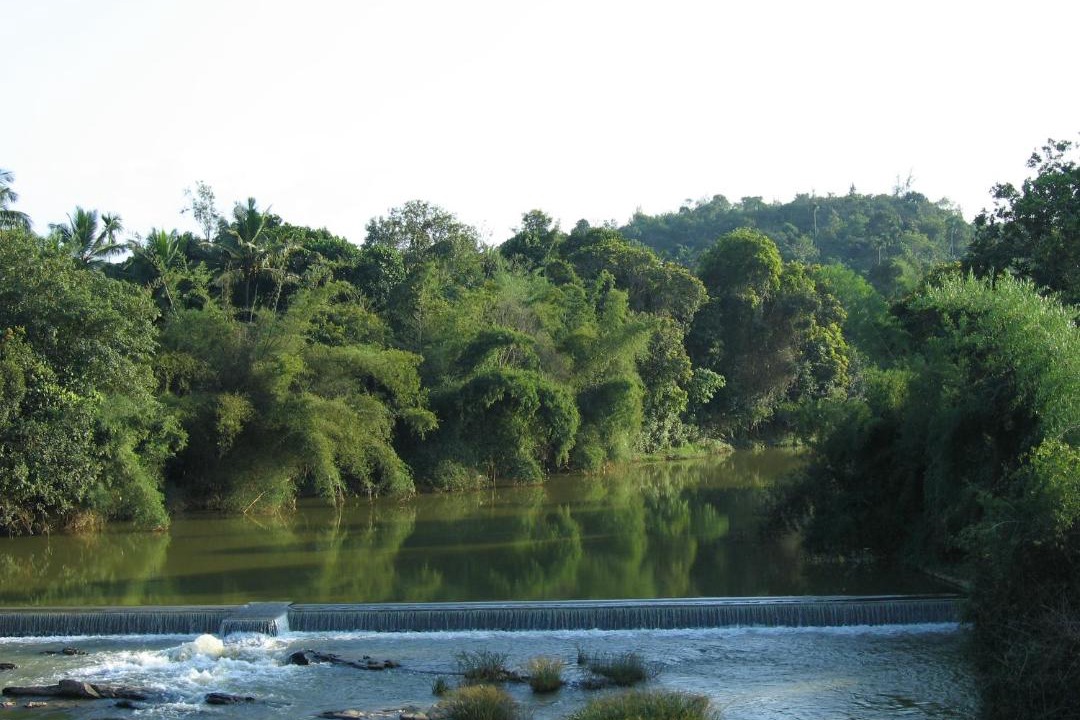 Photo of Others in Mananthavady