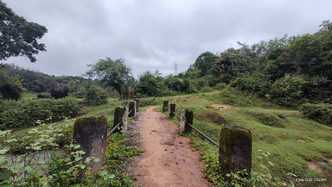Photo of Others in Sakleshpur