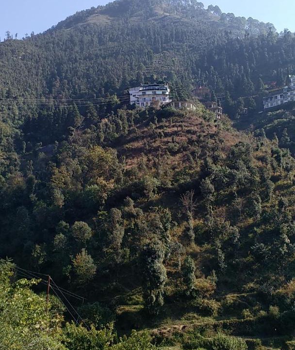 Photo of Others in Mussoorie