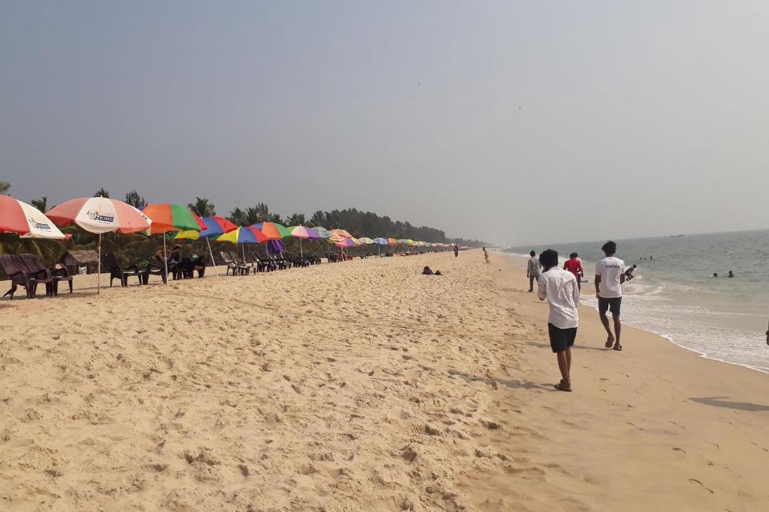 Photo of Others in Thamaraparambu