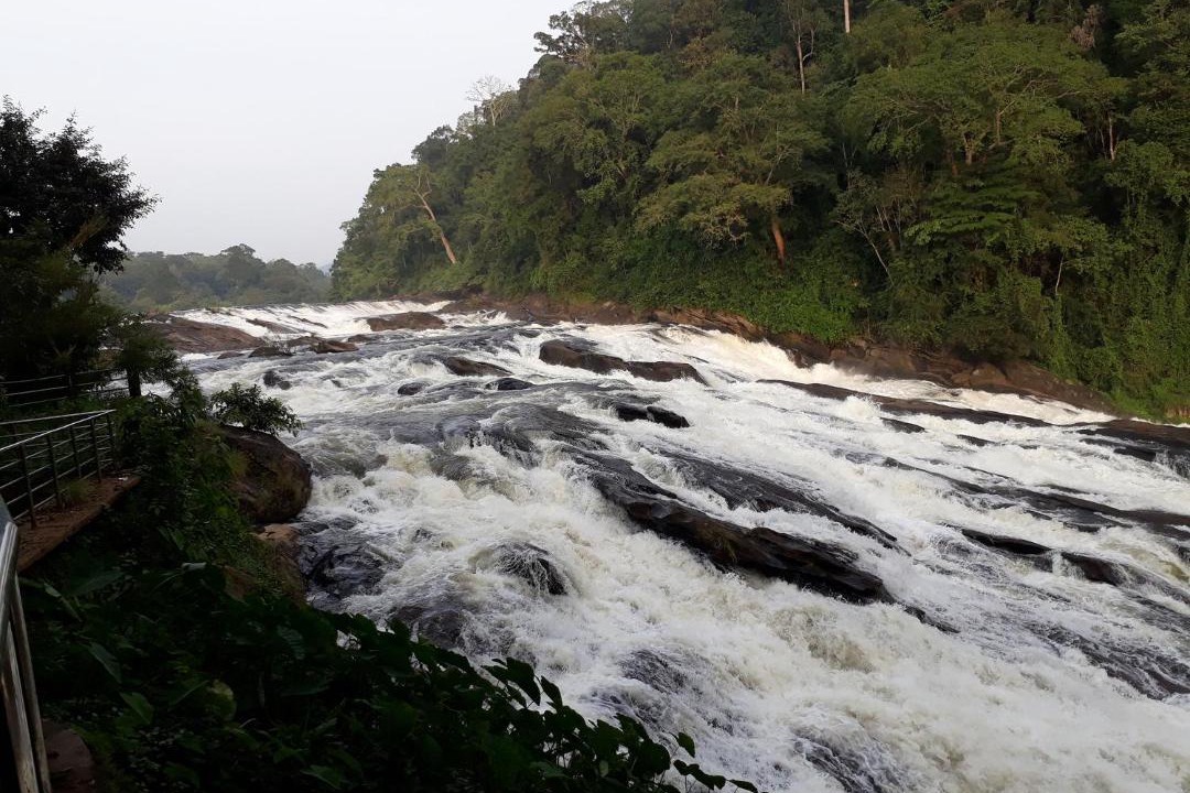 Photo of Others in Thamaraparambu