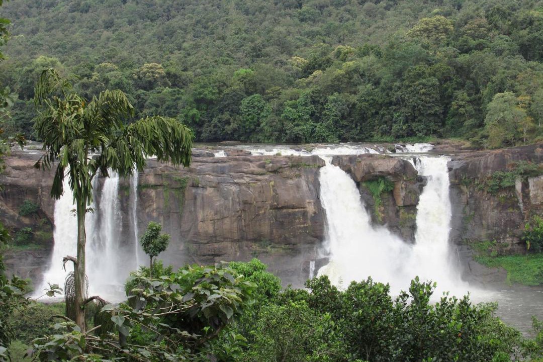 Photo of Others in Thamaraparambu
