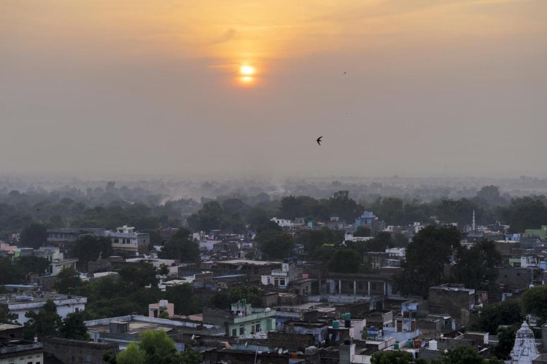 Photo of Others in Sawai Madhopur