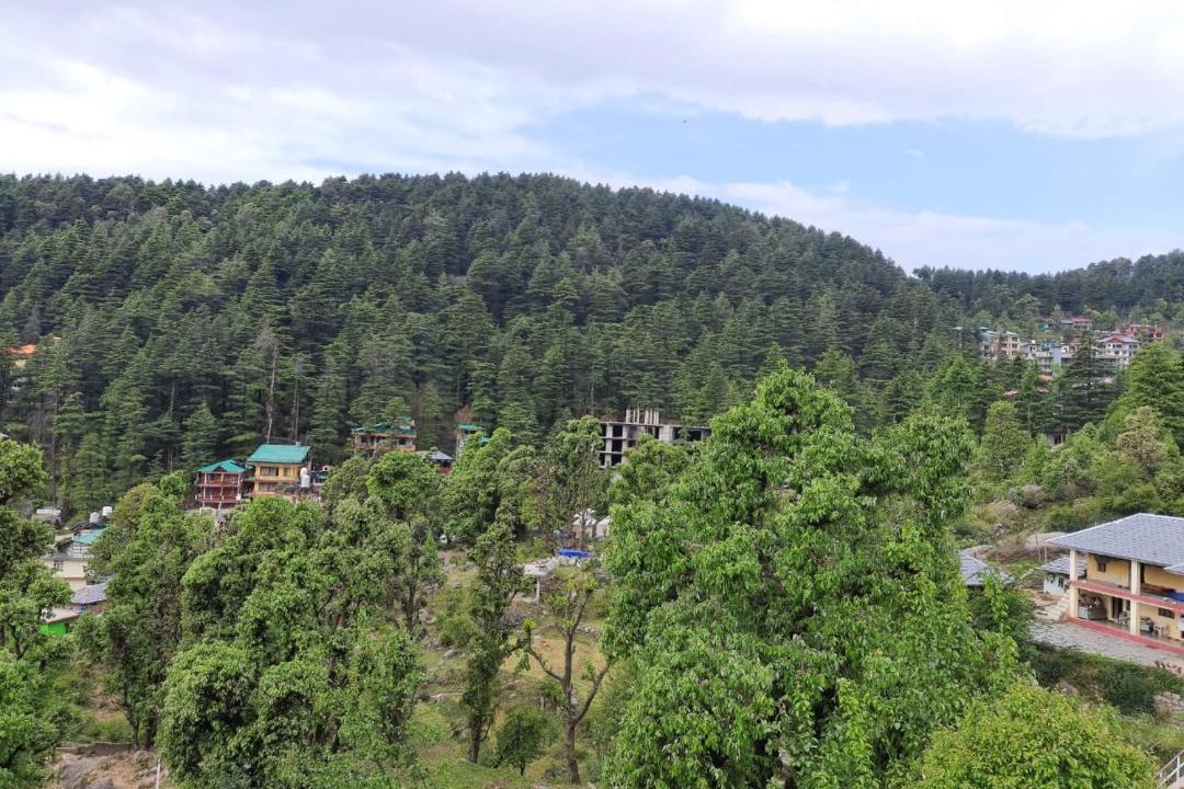 Photo of Others in Bhagsu Nag