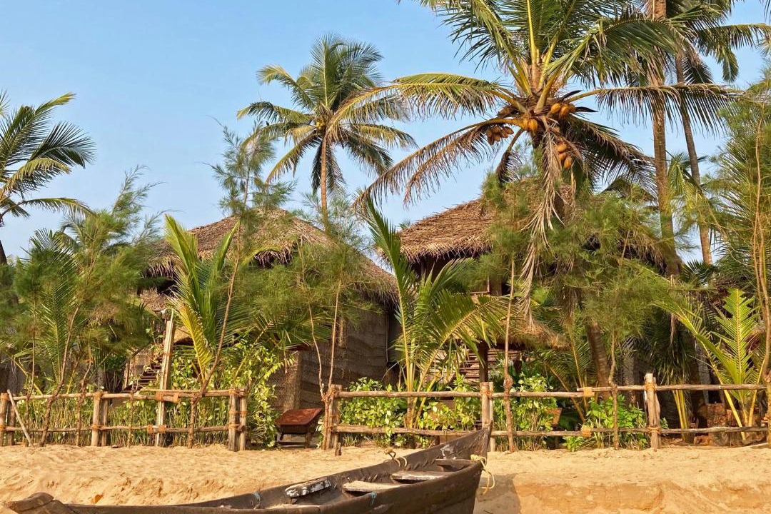 Photo of Others in Agonda