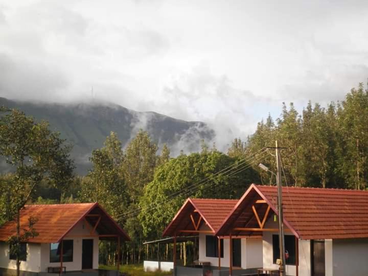 Photo of Others in Chikkamagaluru