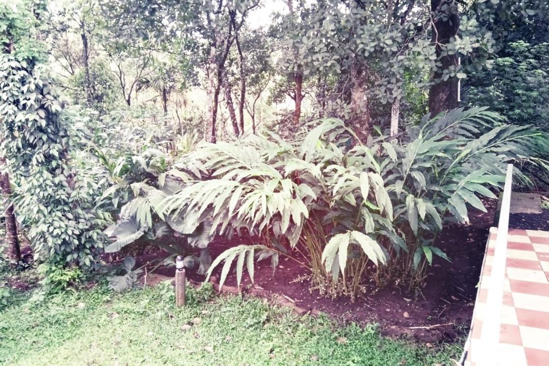 Photo of Others in Thekkady