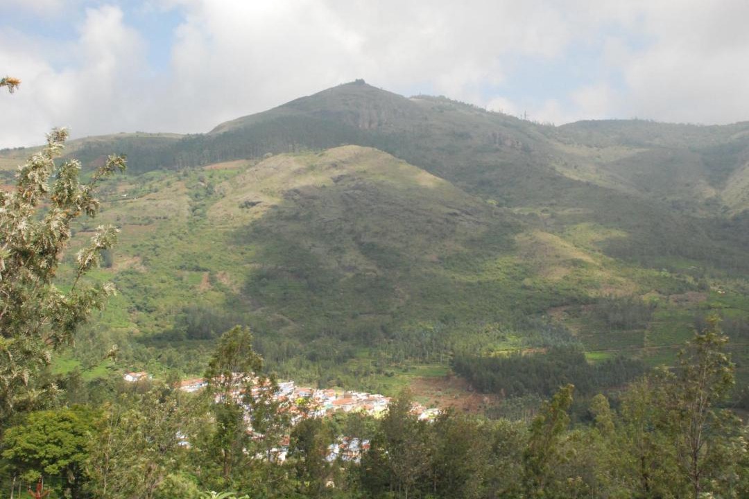 Photo of Others in Masinagudi