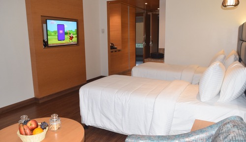 Standard Twin Room