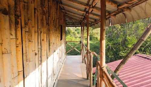 Tree House