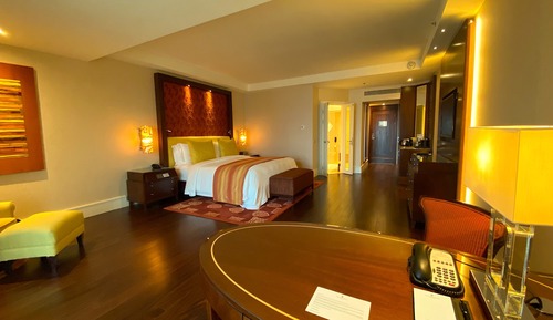 Room, 1 King Bed