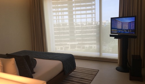 Superior Room, 1 Queen Bed, City View