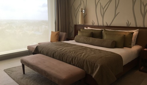 Executive Suite, 1 King Bed, City View