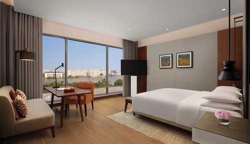 Room, 1 King Bed