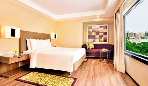 Room, 1 King Bed