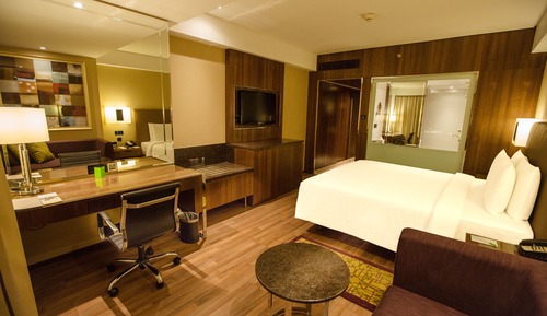 Room, 1 King Bed