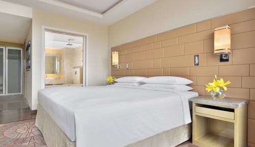 Executive Suite, 1 King Bed