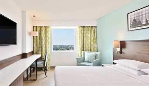 Room, 1 Queen Bed
