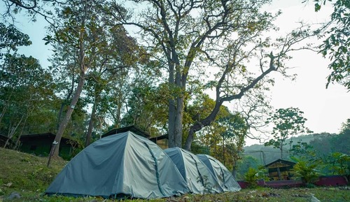 Basic Tent