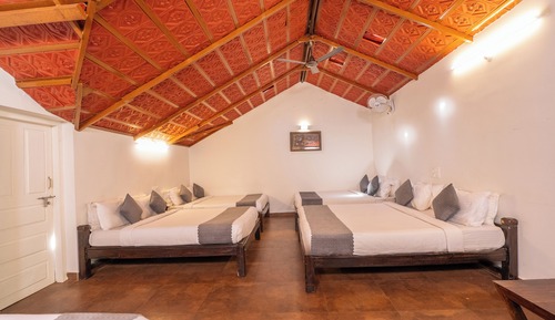 Standard Shared Dormitory