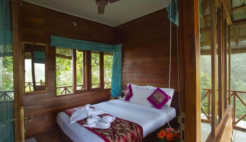 Tree House