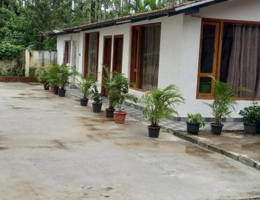 4-Bed Mixed Dormitory Room