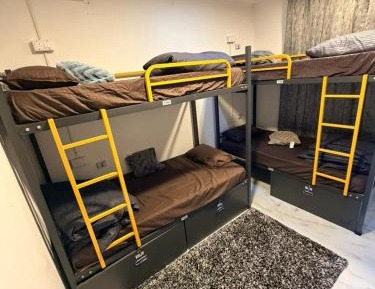 4-Bed Mixed Dormitory Room