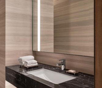 Junior King Suite with Executive Lounge Access