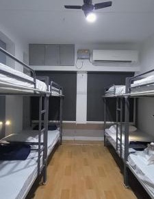 Bed in 8-Bed Mixed Dormitory Room