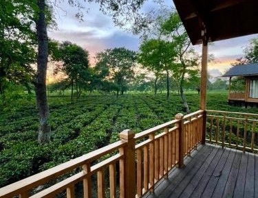 Luxury Chalet with Private Sitout Area