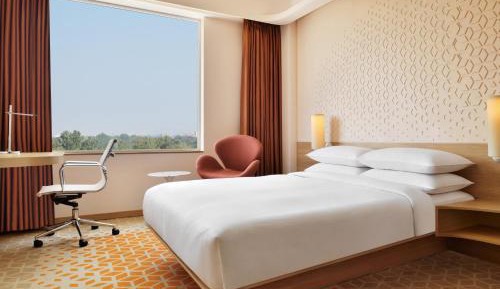 Suite, 1 Queen Bed