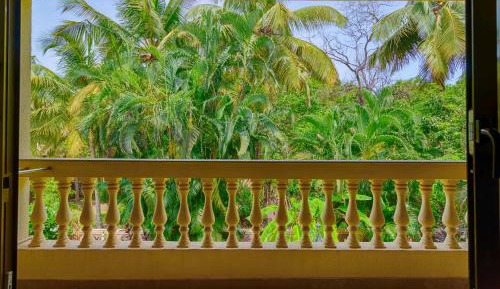 Premium Suite - Complimentary 2 pints of beer on per stay - 15% Discount on Food & Soft Beverages - 10% Discount on Laundry - Happy Hours 1+1 from 3 to 7pm @Apricot - 10% Discount on One Way Airport Transfers