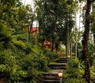 Vayittiri Resort | Banasura Wetlands Wayanad Boutique Pool Resort Near Waterfalls