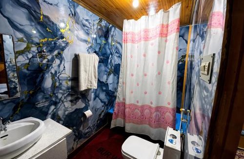 Dal Lake Hotel | New Biloo palace group of houseboats