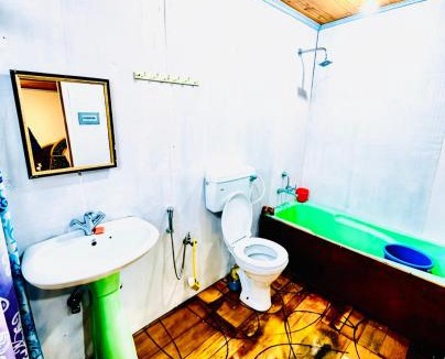 Dal Lake Hotel | New Biloo palace group of houseboats