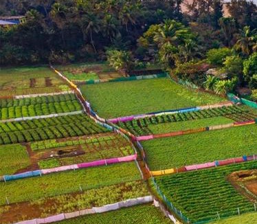 Gokarna House | Ocean Sparrow Home Stay
