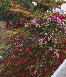 Kaloor House | Luxstaykochi -Luxury Villa Near JLN Metro