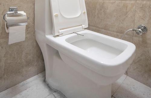 Paharganj House | Hotel Siddharth A Boutique Guest House