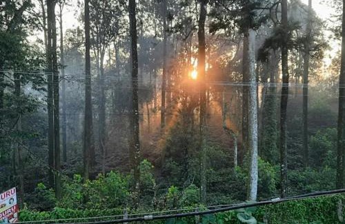 Yercaud Hotel | GURU RESIDENCY yercaud