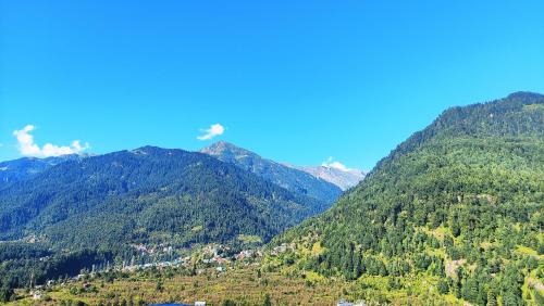 Vashist Hotel | Wander Nest Manali Luxurious rooms with mountain and river view