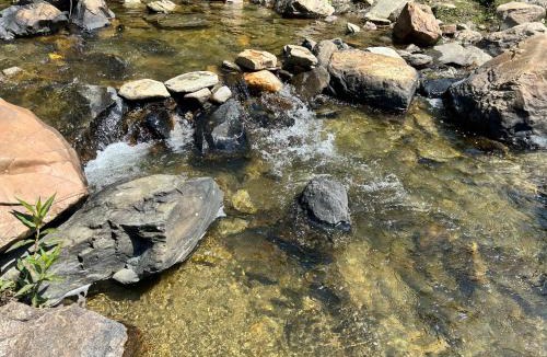 Almora House | Ekatma Stays - Farm & Homestay, Kakrighat