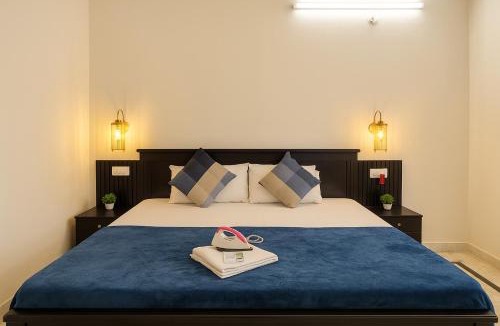 Banjara Hills Apartment | The Hidden Gem - Fully Furnished 1BHK with Indoor Canopy, Smart TV, WiFi and AC