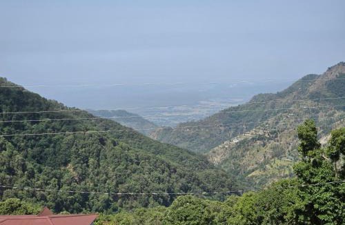 Pangot Hotel | Hotel Monal Inn, Pangot Wildlife and Bird Sanctuary