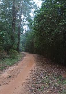 Sringeri House | Gramasiri Homestay