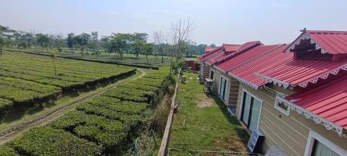 Neora Hotel | Goldee Wildlife Retreat