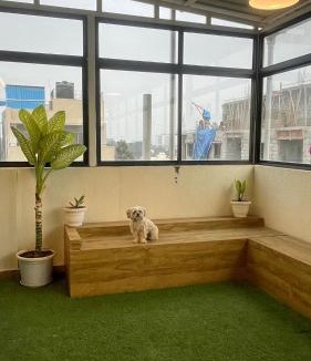 Whitefield Apartment | Brown Bubble 1BHK Kadugodi Metro 5 min walk to Kadugodi metro , ITPL