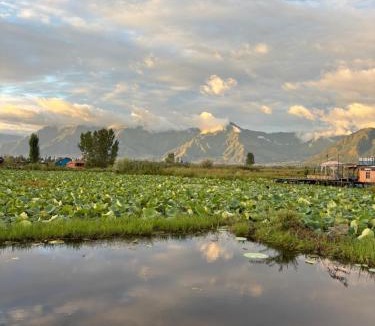 Dal Lake Hotel | Houseboat Jupiter