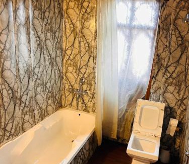 Nagin Bagh Hotel | Maharaja palace houseboat