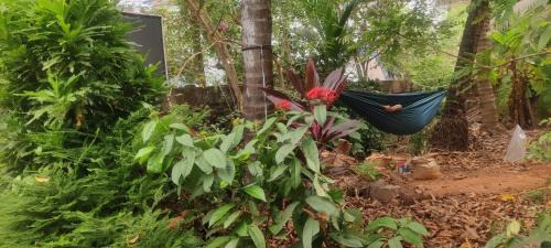 Mangalore House | Seagull - studio room -1km from sea-100mtr from NH66